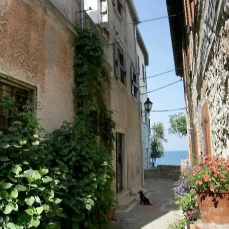 Martin - 10 Mt To The *